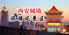 啊,大鸡巴插的好爽在线视频中国陕西-西安城墙旅游风景区
